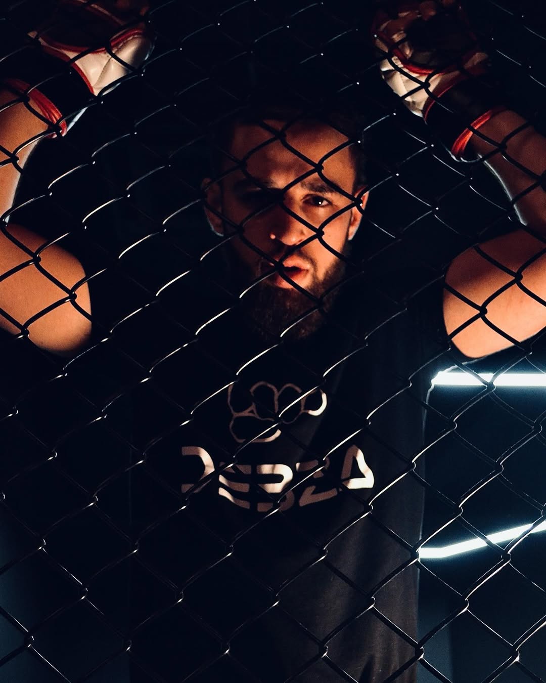 Inside the cage DEBZA